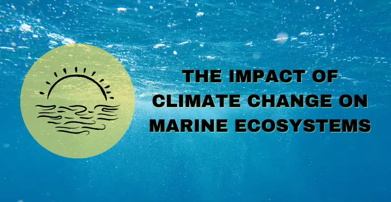 The Impact of Climate Change on Marine Ecosystems